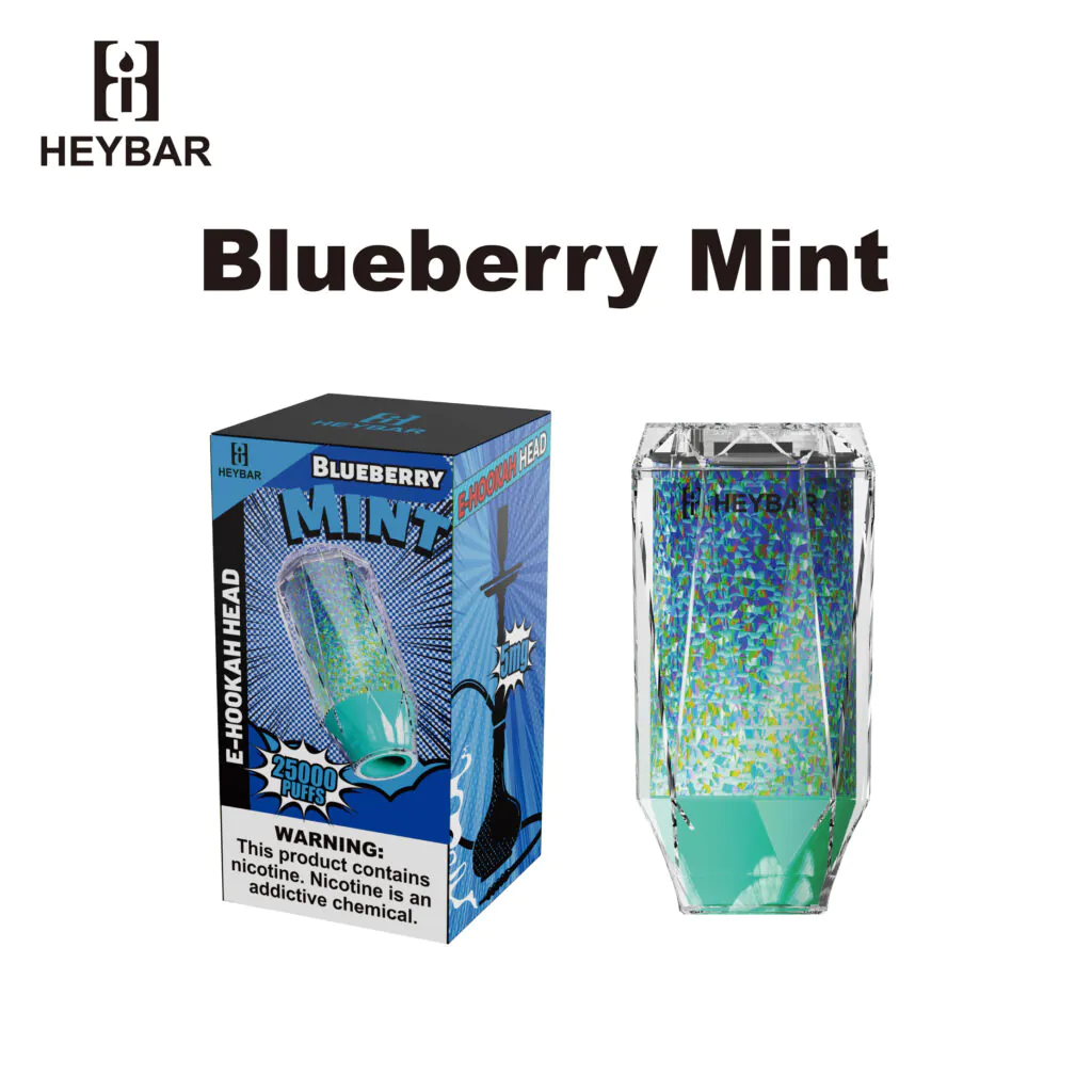 blueberry mint disposable vape Blueberry Mint Fume Ultra Disposable Vape main image 1