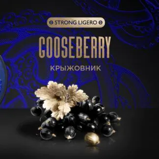 Kraken Gooseberry 100GR (Strong Ligero)