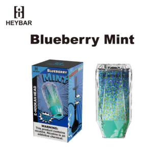 heybar vape HEYBAR 25000 Puffs Disposable E-Hookah Head Vape Wholesale – Vapz Vape  Wholesale main image 1