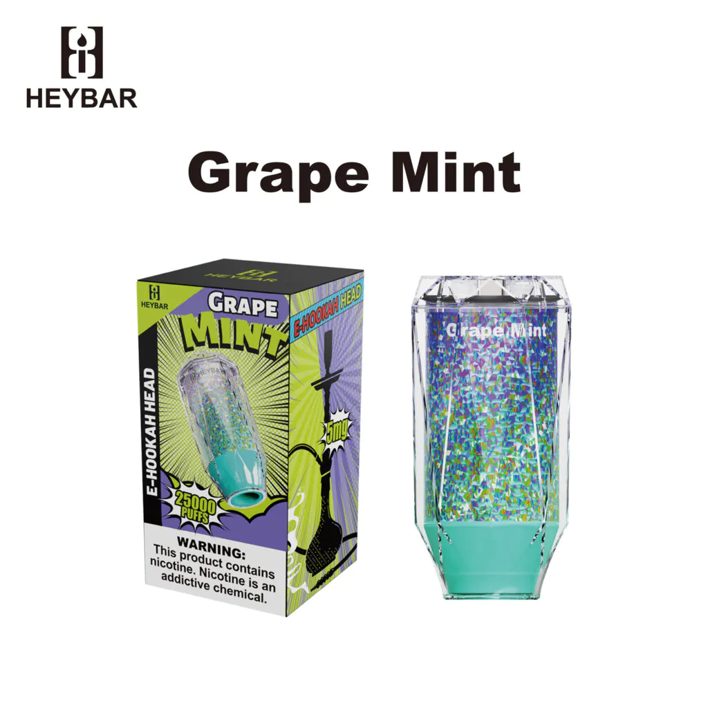 HeyBar E-Hookah Head 25k Disposable Grape Mint