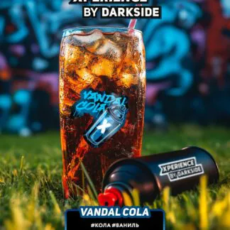 DarkSide Xperience Vandal Cola 200g