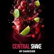 DarkSide Central Shake Base 200G
