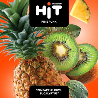 Black Burn HiT - Pine Punk 30G (Pineapple, Kiwi, Eucalyptus)